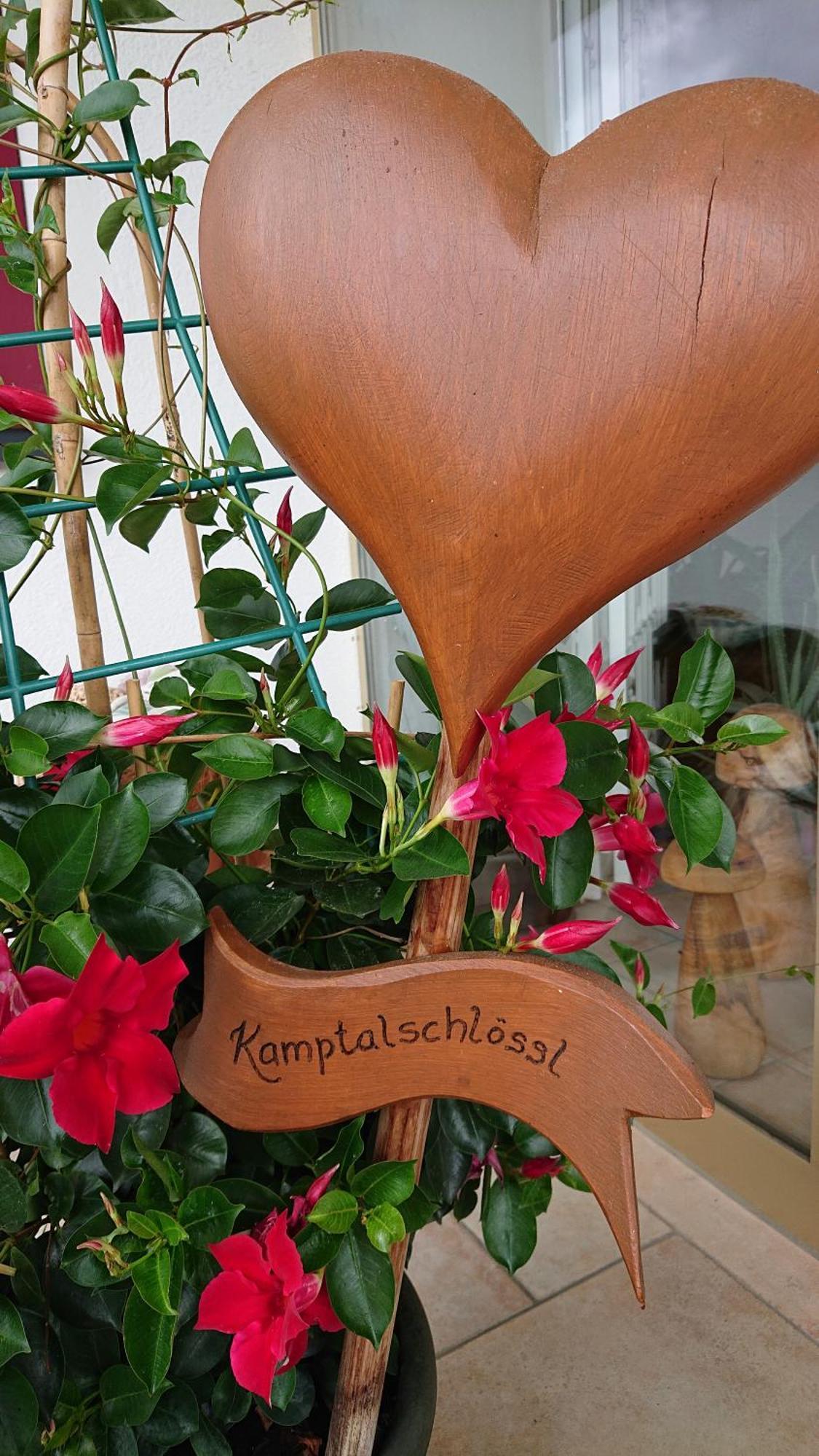 Hotel Kamptalschlössl Plank am Kamp Exterior foto